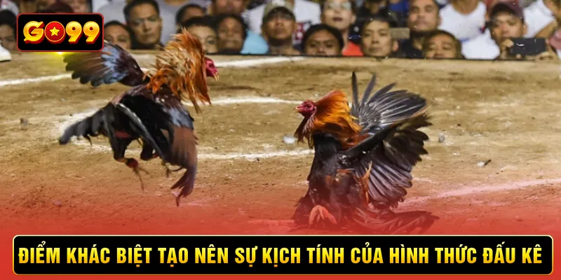 Điểm khác biệt tạo nên sự kịch tính của hình thức đấu kê