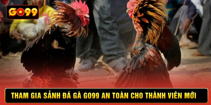 Tham gia sảnh đá gà Go99 an toàn cho thành viên mới